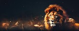 Fototapeta Dziecięca - Lion king animal of nature with  dark golden background, nature panorama. Generative Ai.