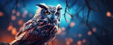 Fototapeta Dziecięca - Owl night animal in wild nature with dark sunset background, panorama. Generative Ai.