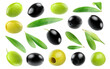 Collection of green and black olive fruits and olive leaves cut out