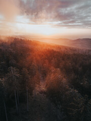  Sonnenaufgang Wald