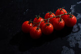 Fototapeta Tulipany - fresh tomatoes on black background with water drops