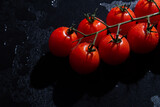 Fototapeta Tulipany - fresh tomatoes on black background with water drops