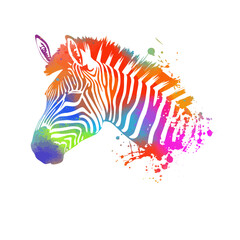 Wall Mural - Colored zebra object . T-shirt print. Vector illustration.