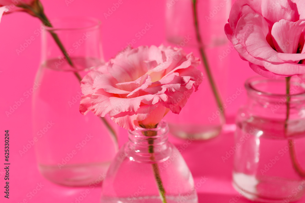 Glass bottles with beautiful eustoma flowers on pink background, closeup