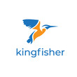 kingfisher bird simple vector illustration