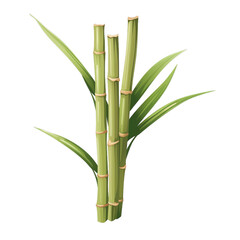  a vibrant green bamboo plant against a clean white backdrop