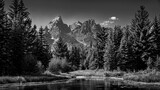 Fototapeta Las - Black and White Landscape Photo of the view of the Grand Tetons from Schwabacher Landing in Grand Teton National Park, Wyoming, USA