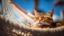 Cute Tabby Ginger Cat Relax Under Sunshine In A Hammock On The Beach In Hot Summer, Blurred Coconut Tree And Blue Sky. Generative AI
