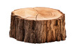 Stump isolated on transparent background, front view, Generative AI