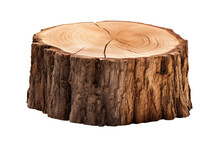Stump Isolated On Transparent Background, Front View, Generative AI