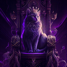 Queen Cat Sits On A Throne