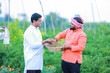 © SDV Ads - harvesting green chilly