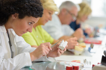 Wall Mural - process of making a dental prosthesis in a dental laboratory