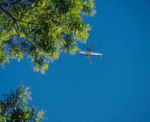 plane in the sky tree vacation