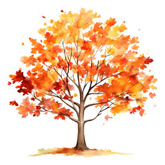 Wall Mural - Watercolor drawing of an autumn tree, hand drawn illustration isolated.