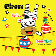 Zebra The Animal Circus Funny Cartoon,vector Illustration
