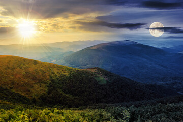 Wall Mural - day and night time change concept. summer landscape with sun and moon at twilight. coniferous forest