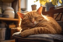 A Ginger Colored Cat Is Peacefully Resting On A Chair Located In The Kitchen.