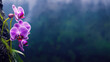 canvas print picture - Orchidee in Lila mit einer schönen Berglandschaft im Hintergrund Nahaufnahme, ai generativ