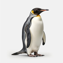 Isolated Penguin On The Side On A White Background, AI Generation