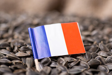 Poster - Paper flag of France on sunflowers grain. Growing sunflowers for oil in France, origin of grain