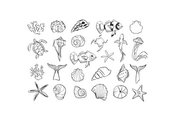 Sticker - Hand drawn vector abstract minimalistic line art graphic drawing tropical underwater fish and seashells icon sign collection set isolated.Summer sea design concept.Tropical summer underwater logo set.