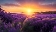 Lavender Field In Sunset Over Blurred Mountain Landscape. AI Generated.