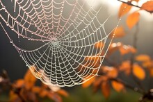 A Mesmerizing Close-up Photo Of Dew Drops Delicately Clinging To A Spider Web On A Crisp Autumn Morning. 
The Image Captures The Beauty And Detail Of Nature During The Fall Season.
