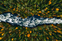 Aerial View Of Fast Blue River Flow Through Fall Colorful Trees In Woods Forest.