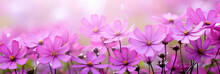 Wide Purple Small Flowers In Front Of Blurred Background