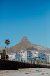View of Lions Head
