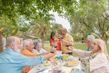 Mature Couple Celebrating Anniversary In Park With Friends