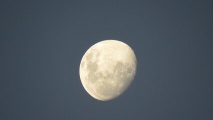 moon in the night