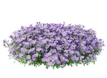Bunch Of Purple Flowers Isolated