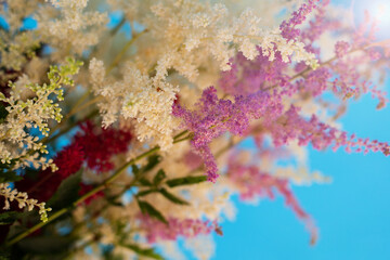 Sticker - Field flowers against the background of the blue sky