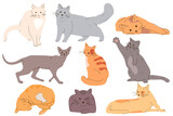 Fototapeta Koty - Set of vector illustration of cats, kittens.Cute simple design in cartoon style.Set of illustrations with cats in different poses