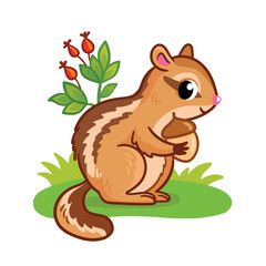 Wall Mural - Cute chipmunk stands on a green summer meadow and holds a nut in its paws. Vector illustration with animal.