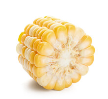 Piece Of Fresh Corn Cob On White Background