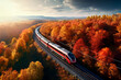 © Maria Moroz - Aerial view of train and railroad among autumn forests, bird's eye view