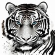 White tiger blu eyes | Ai Generated