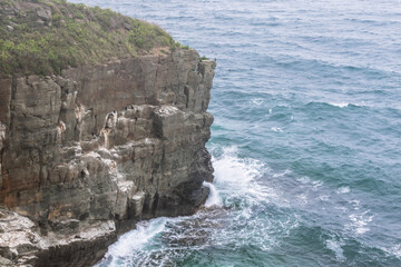 Wall Mural - Aerial view of ocean waves and fantastic Rocky coast. Seascape, turquoise sea waves beating against the rocks.