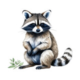 Fototapeta Zwierzęta - raccoon png