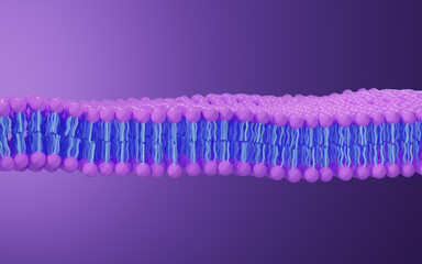 Sticker - Cell membrane structure background, 3d rendering.