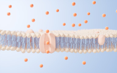 Poster - Cell membrane structure background, 3d rendering.