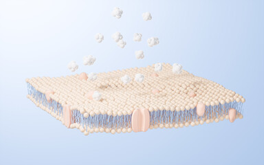 Poster - Cell membrane structure background, 3d rendering.