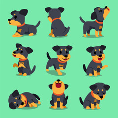 Wall Mural - Cartoon character german hunting terrier dog set for design.