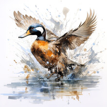 Image Of Colorful Flying Duck Painting On White Background. Bird. Wildlife Animals. Illustration, Generative AI.