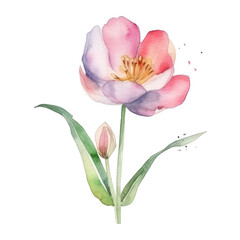 Wall Mural - flower botanical watercolor art