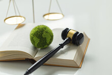 International Law And Environment Law.Green World And Gavel On A Book With Scales Of Justice. Law For Global Economic Regulation Aligned With The Principles Of Sustainable Environmental Conservation.