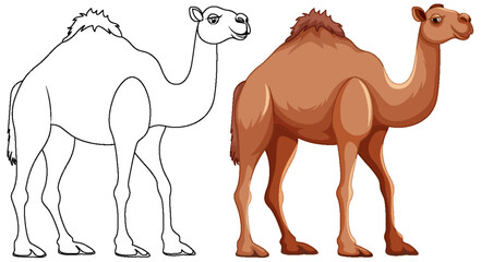 Wall Mural - camel walking coloring page